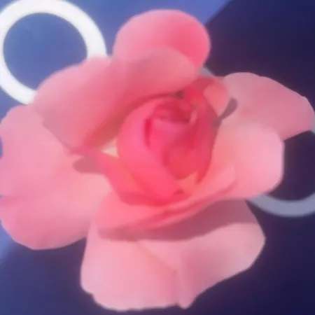 Moonglade Allure 아파트 *