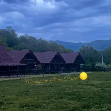 Moonglade Allure Поляна