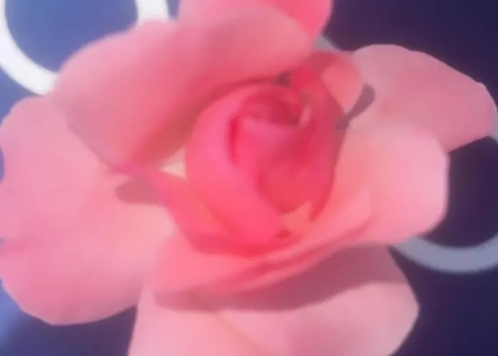 Moonglade Allure 公寓 *