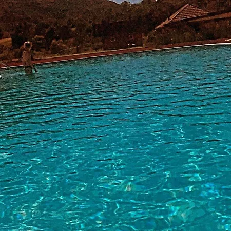 Moonglade Allure Polyana (Transcarpathia)